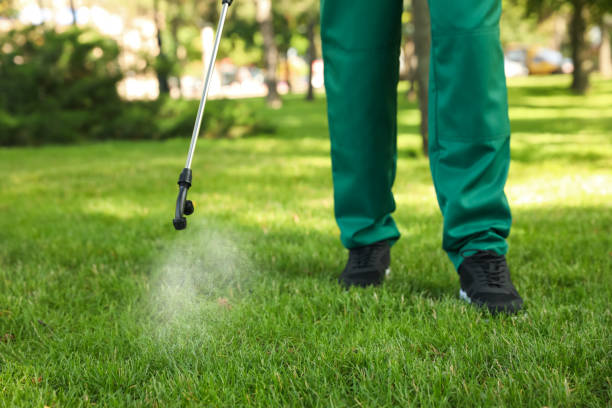 Best Pest Inspection Near Me  in Breckenridge Hills, MO
