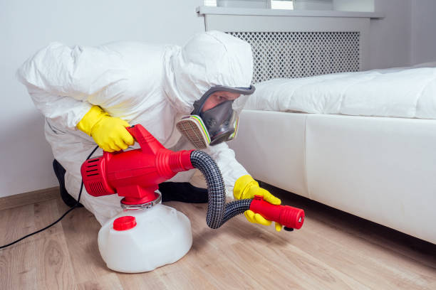 Pest Control for Restaurants in Breckenridge Hills, MO