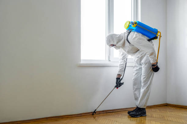 Reliable Breckenridge Hills, MO Pest Control Solutions