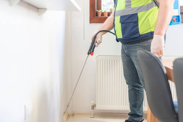 Best Termite Control Services  in Breckenridge Hills, MO
